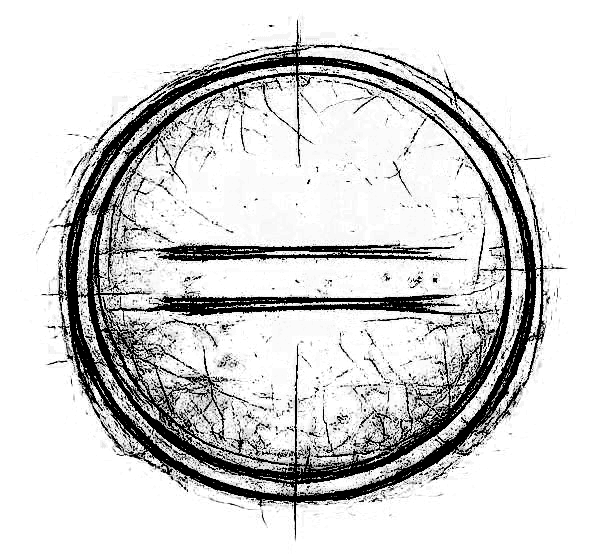 Rinacces Logo